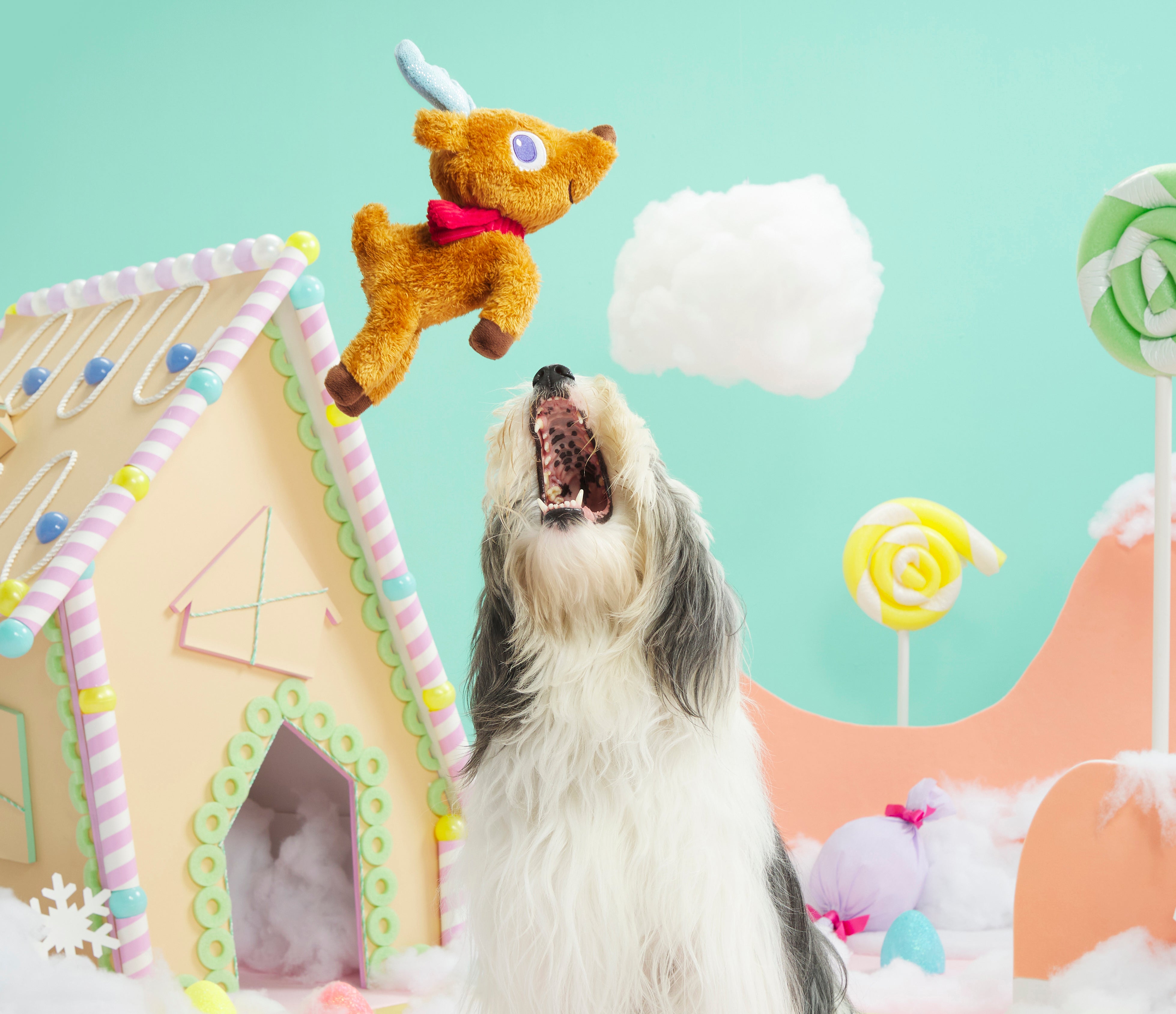 2023 Pet Palette Distribution Halloween/Holiday Prebook Events Have Launched