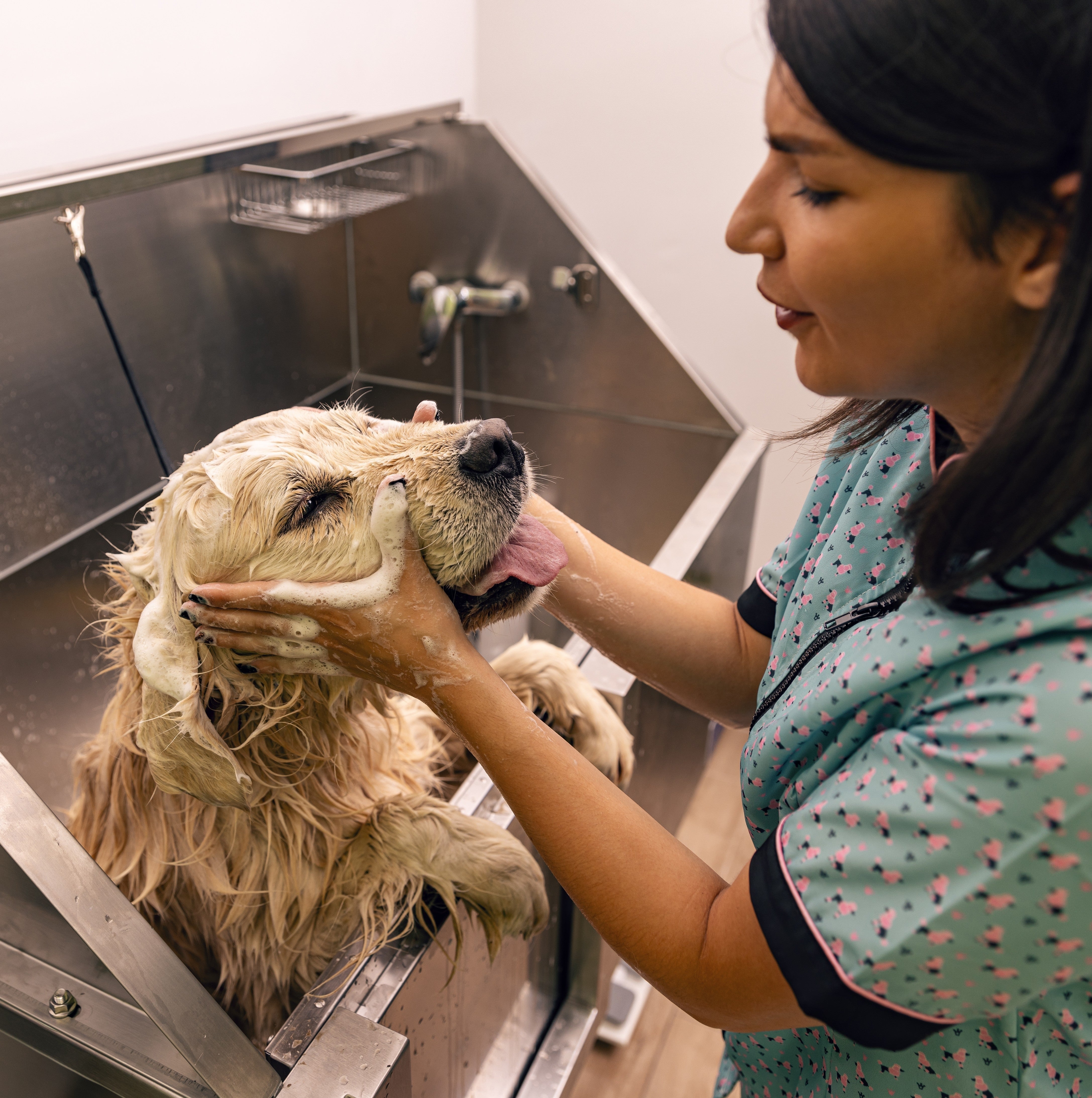Bath Boss-How to Elevate the Most Important Part of the Groom