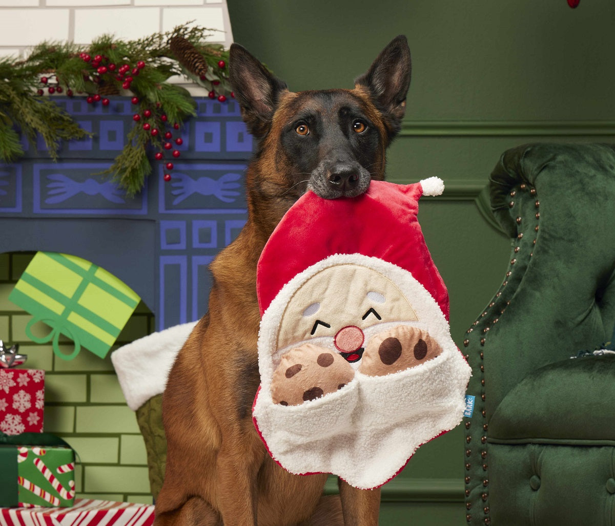 2024 Pet Palette Distribution Halloween/Holiday Prebook Events to Launch April 15