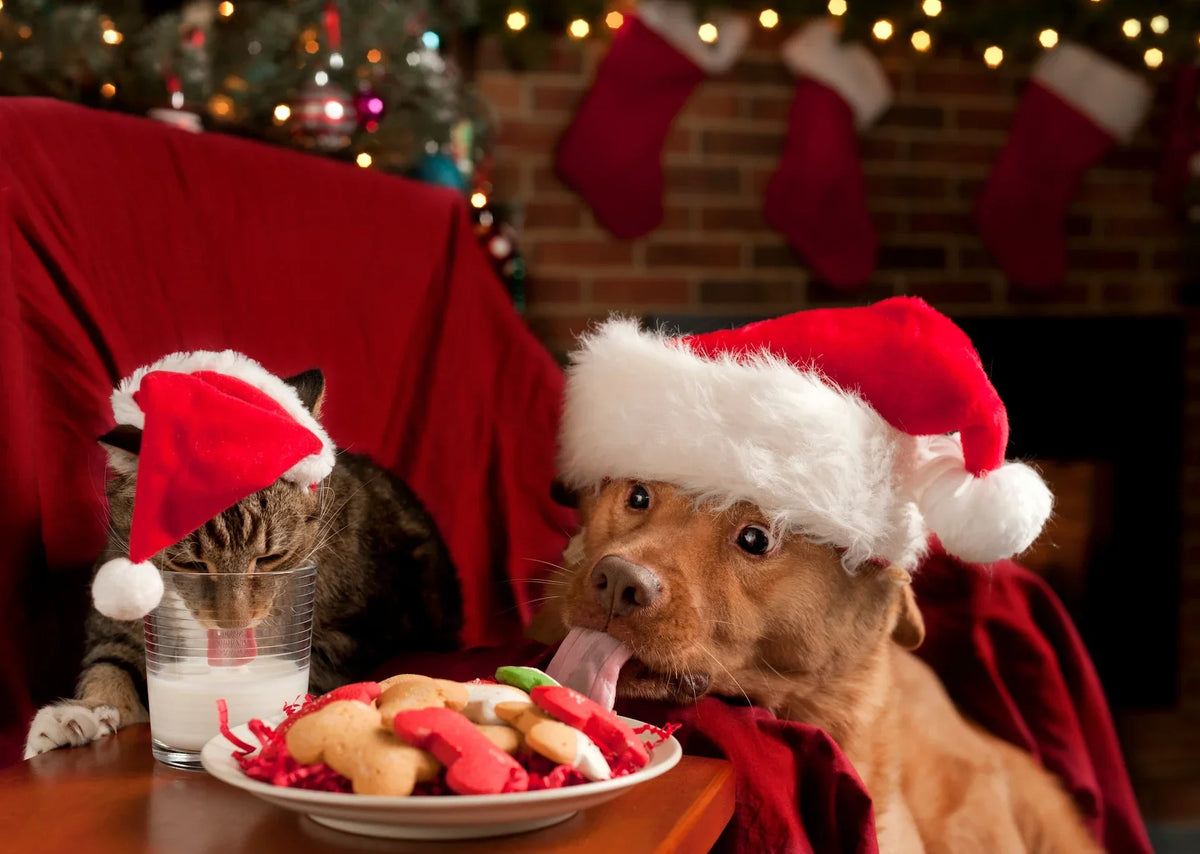 2026 Holiday Pet Product Guide for Retailers