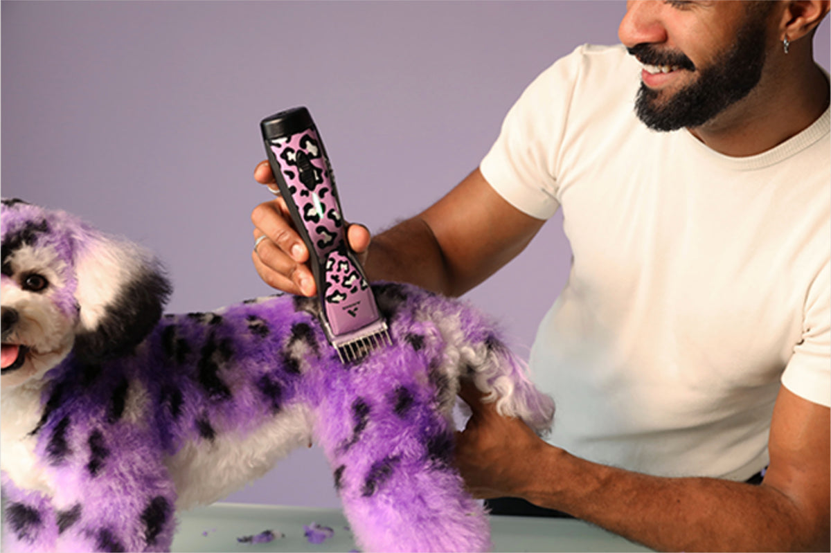 Andis 2 Pulse ZR® II WILD Collaboration with Gabriel Feitosa