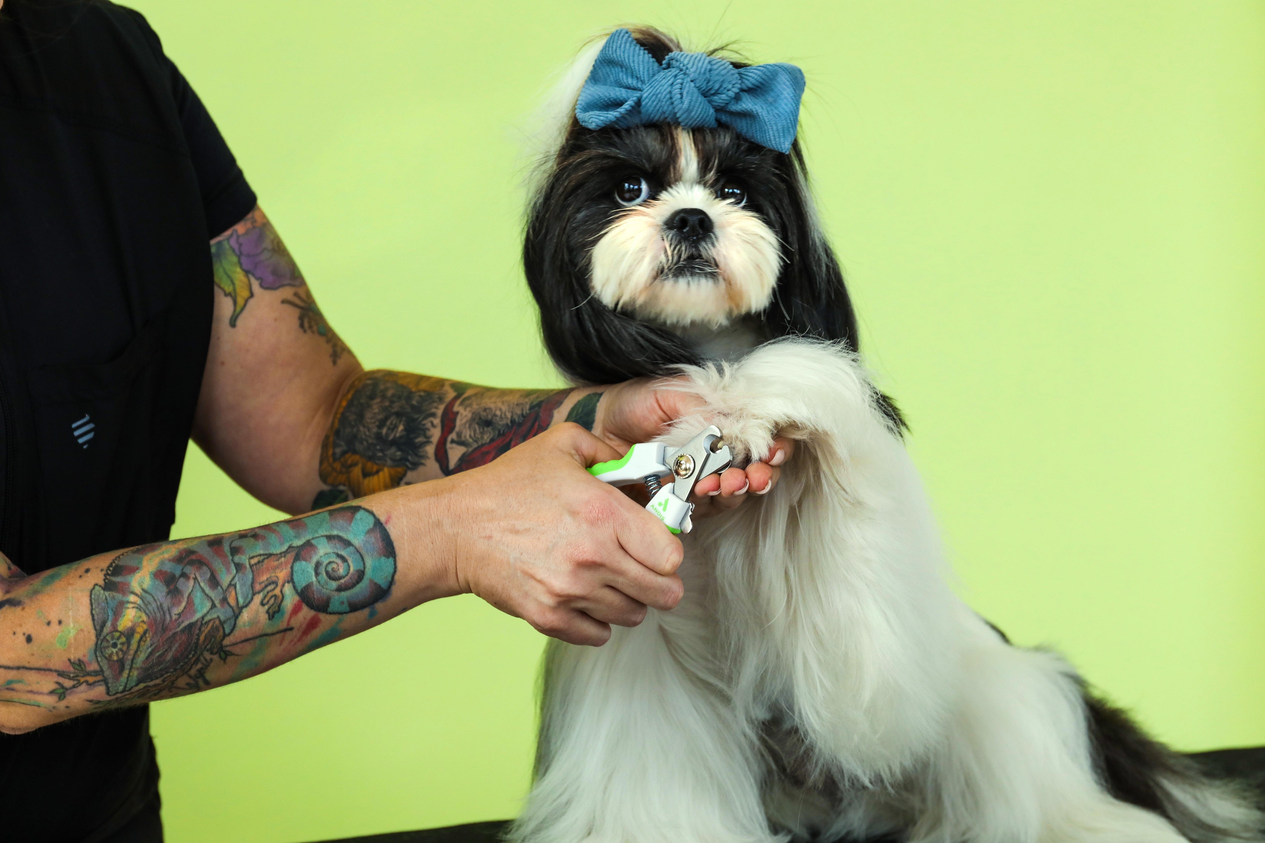 Andis Small Nail Clipper - Green/White