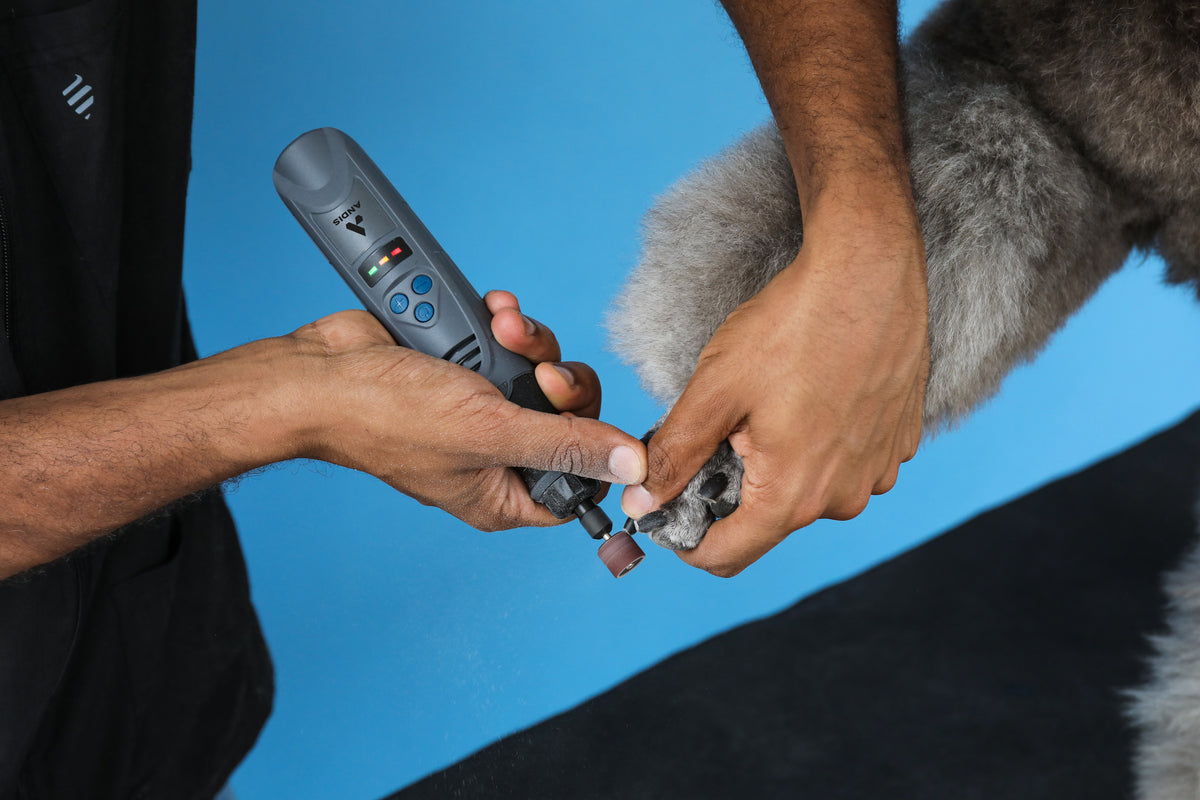 Andis DNG-1- Cordless Nail Grinder 6-Speed - VBL