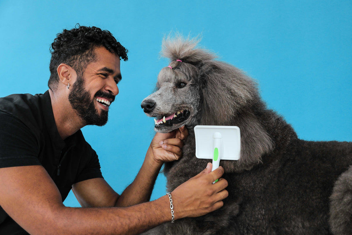 Andis Large Firm Slicker Brush - Green/White - VBL