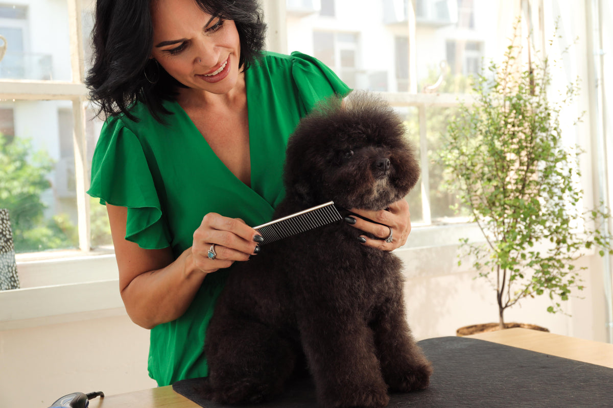 Andis 7-1/2" Steel Comb - VBL