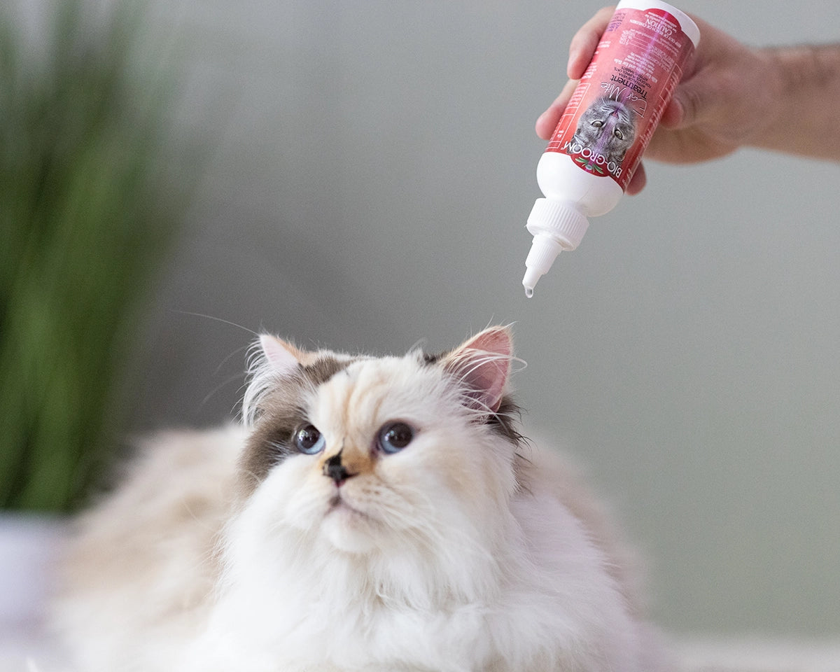 Bio-Groom Ear Mite Treatment 1oz