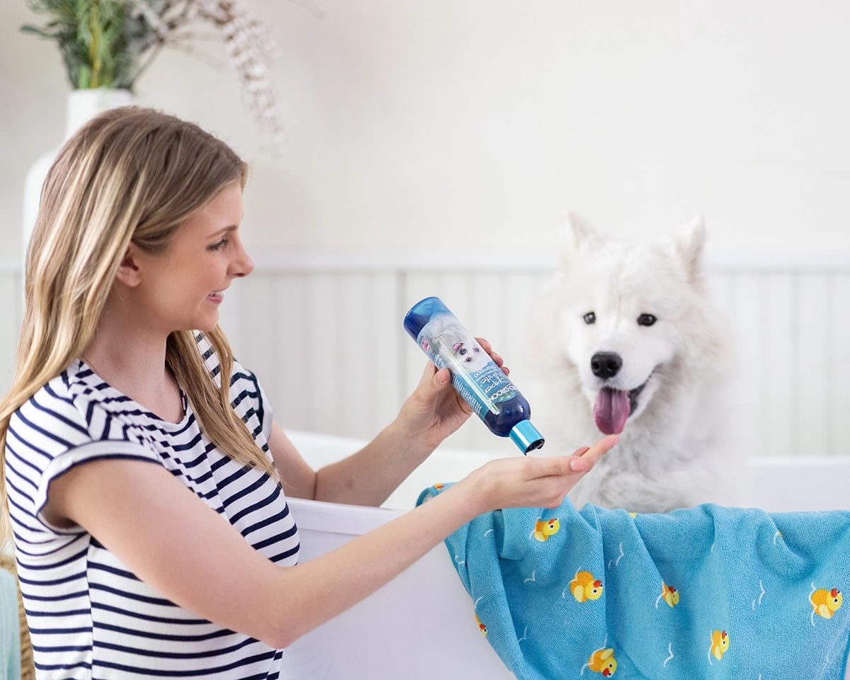 Bio-Groom Super White Shampoo 12oz