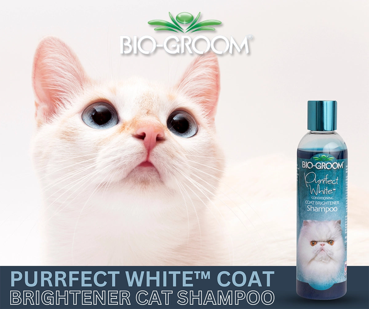 Bio-Groom Purrfect White Shampoo 8oz
