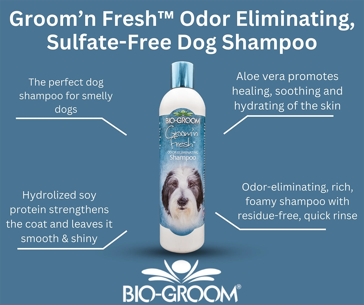 Bio-Groom Groom'n Fresh Shampoo Gallon