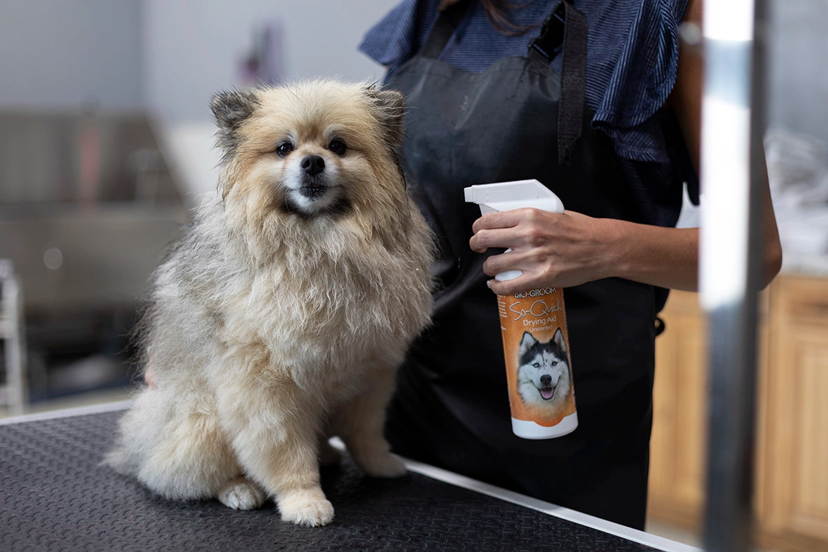 Bio-Groom So-Quick 16oz