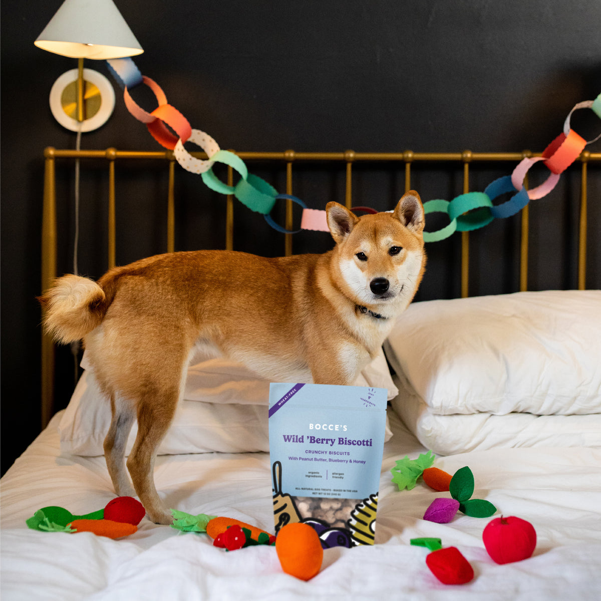 Bocce's Bakery Wild 'Berry Biscotti Small Batch Biscuits Dog Treats 12oz