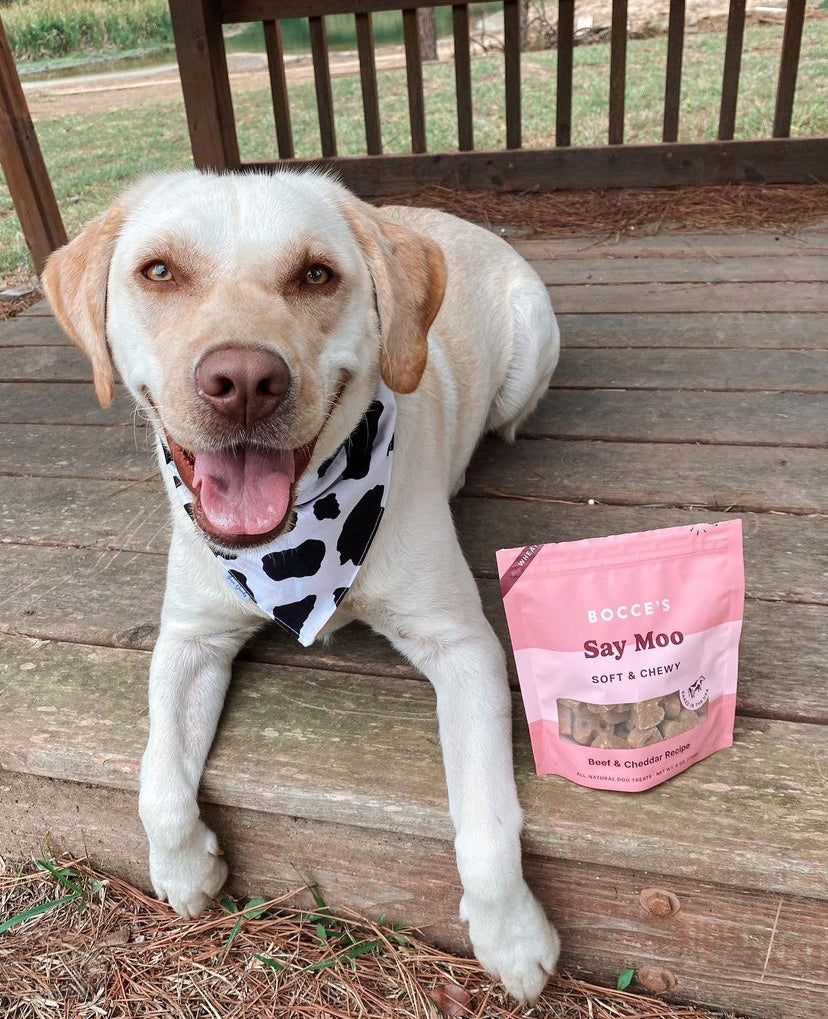 Bocce's Bakery Say MOOOO Soft & Chewy Dog Treats 6oz