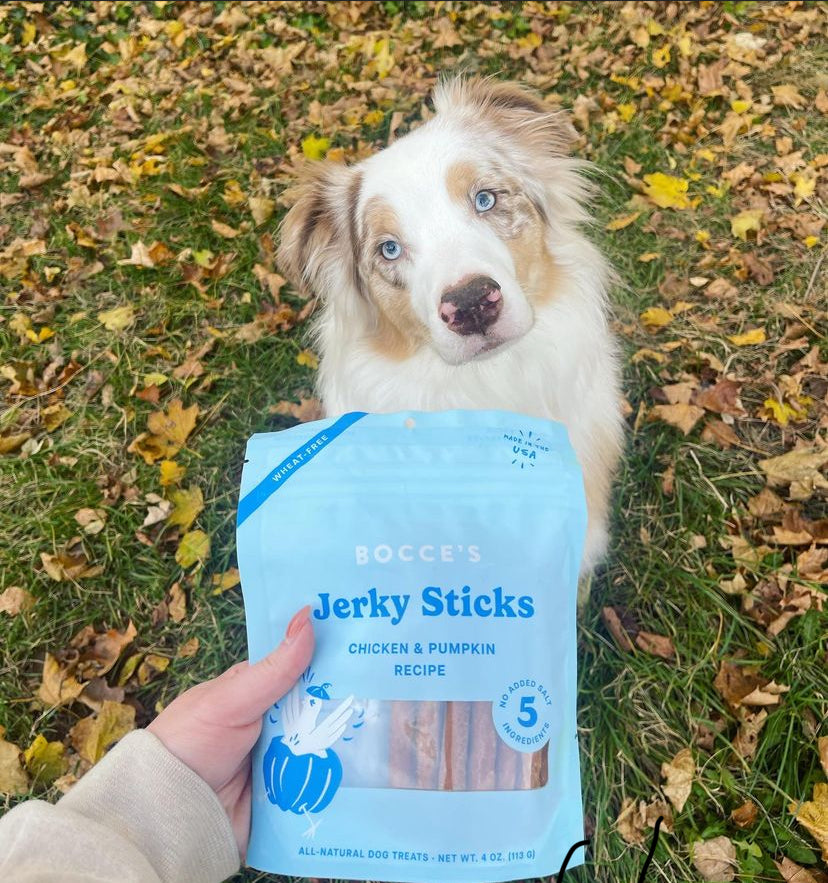 Bocce's Bakery Chicken Grazers Jerky Sticks Dog Treats 4oz