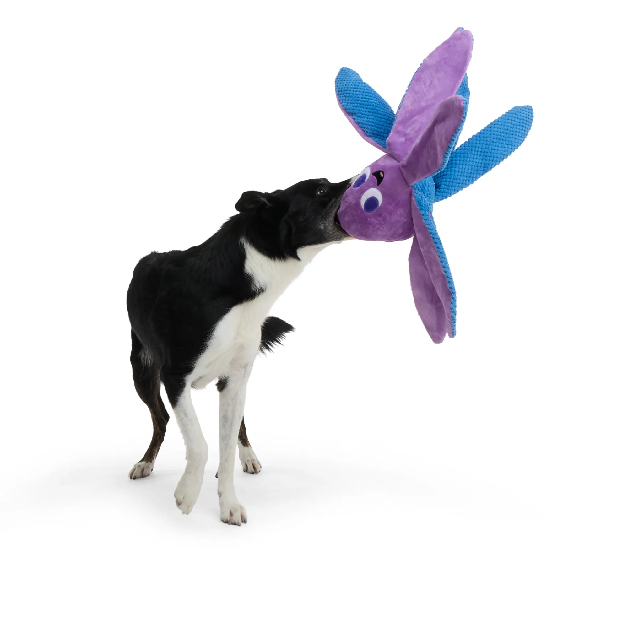 BARK Mondo Ollie the Octopus Plush Dog Toy XL