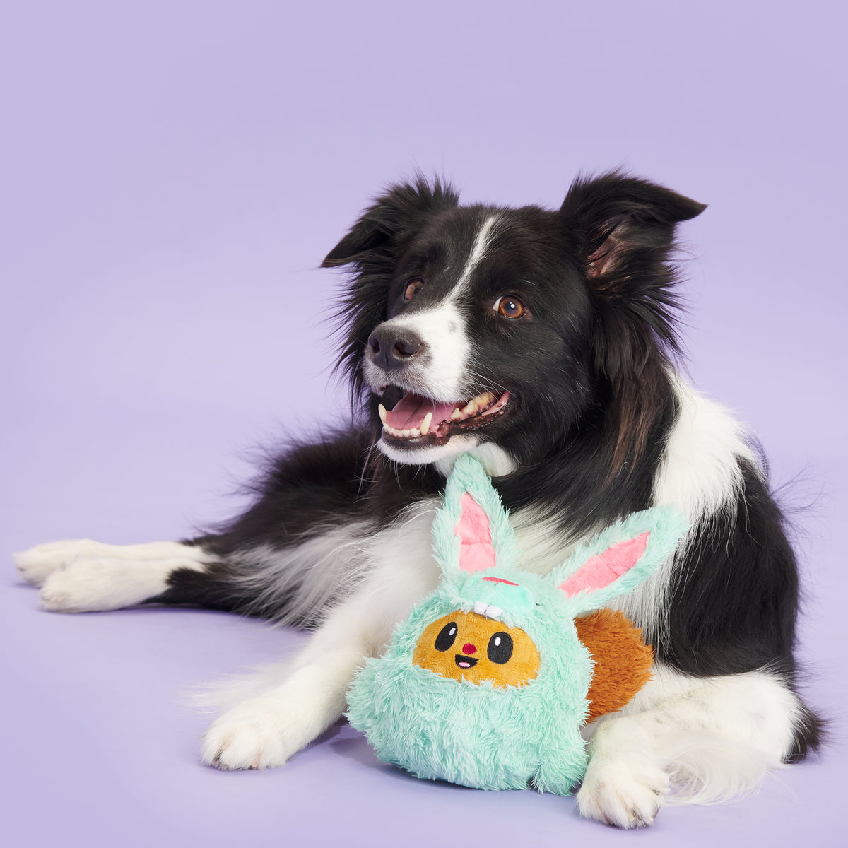 BARK Buddy The Nutty Bunny Easter Plush Dog Toy