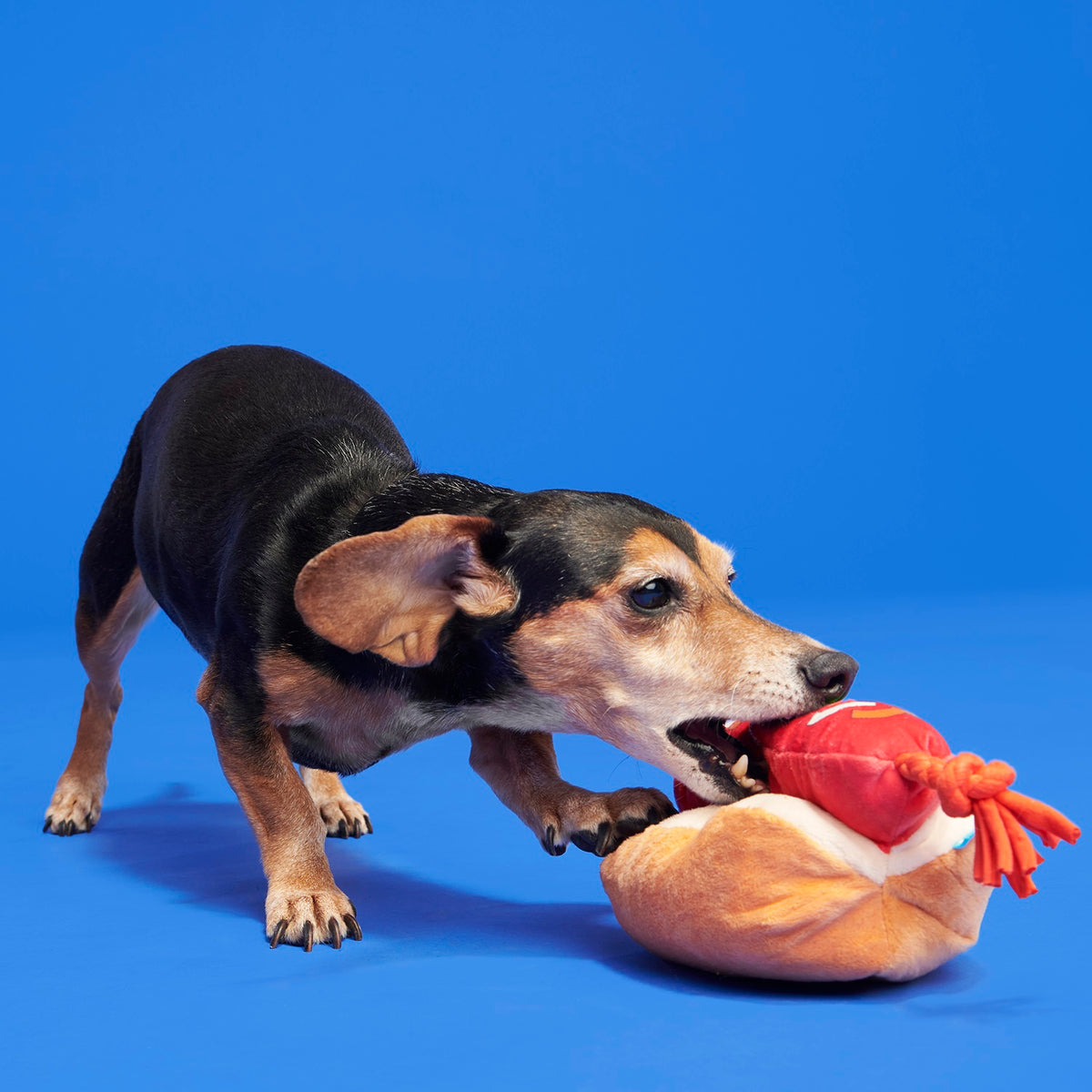 BARK The Everything Dog Plush Dog Toy
