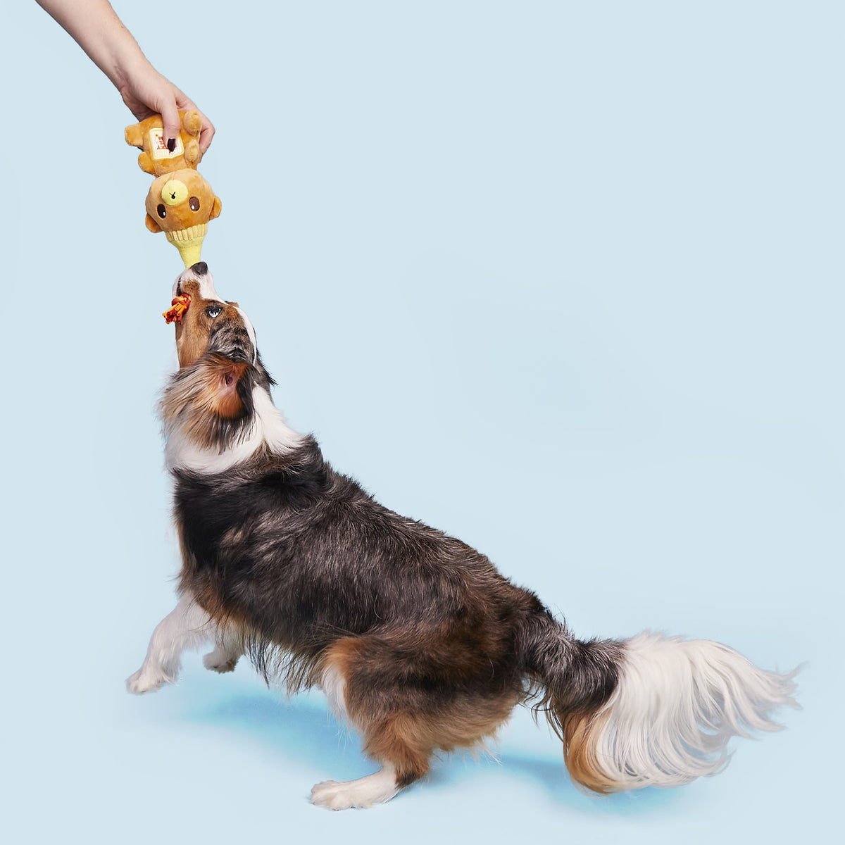 BARK That's My Jam, Honey Plush Dog Toy