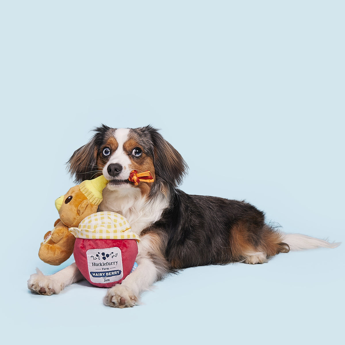 BARK That's My Jam, Honey Plush Dog Toy