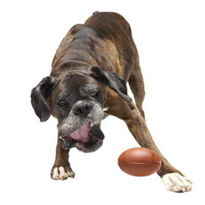 BARK Chompionship Football Super Chewer Dog Toy L