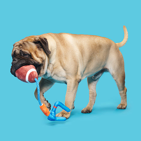 BARK The Whole Canine Yards Plush Dog Toy