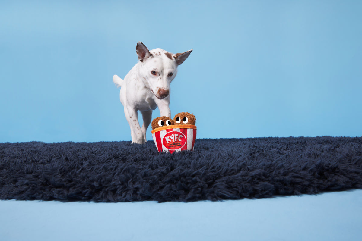 BARK Kenpuppy Fried Chicken