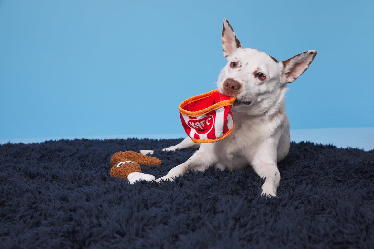 BARK Kenpuppy Fried Chicken