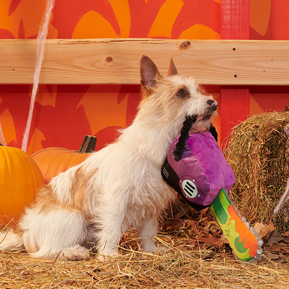 BARK Texas Chainspaw Plush Dog Toy