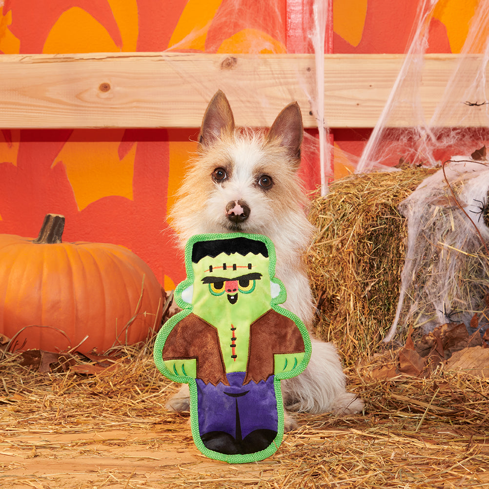 BARK Frankenstein's Muttster Plush Dog Toy
