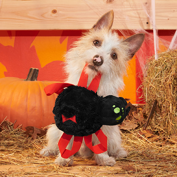 BARK Blake Widow Plush Dog Toy