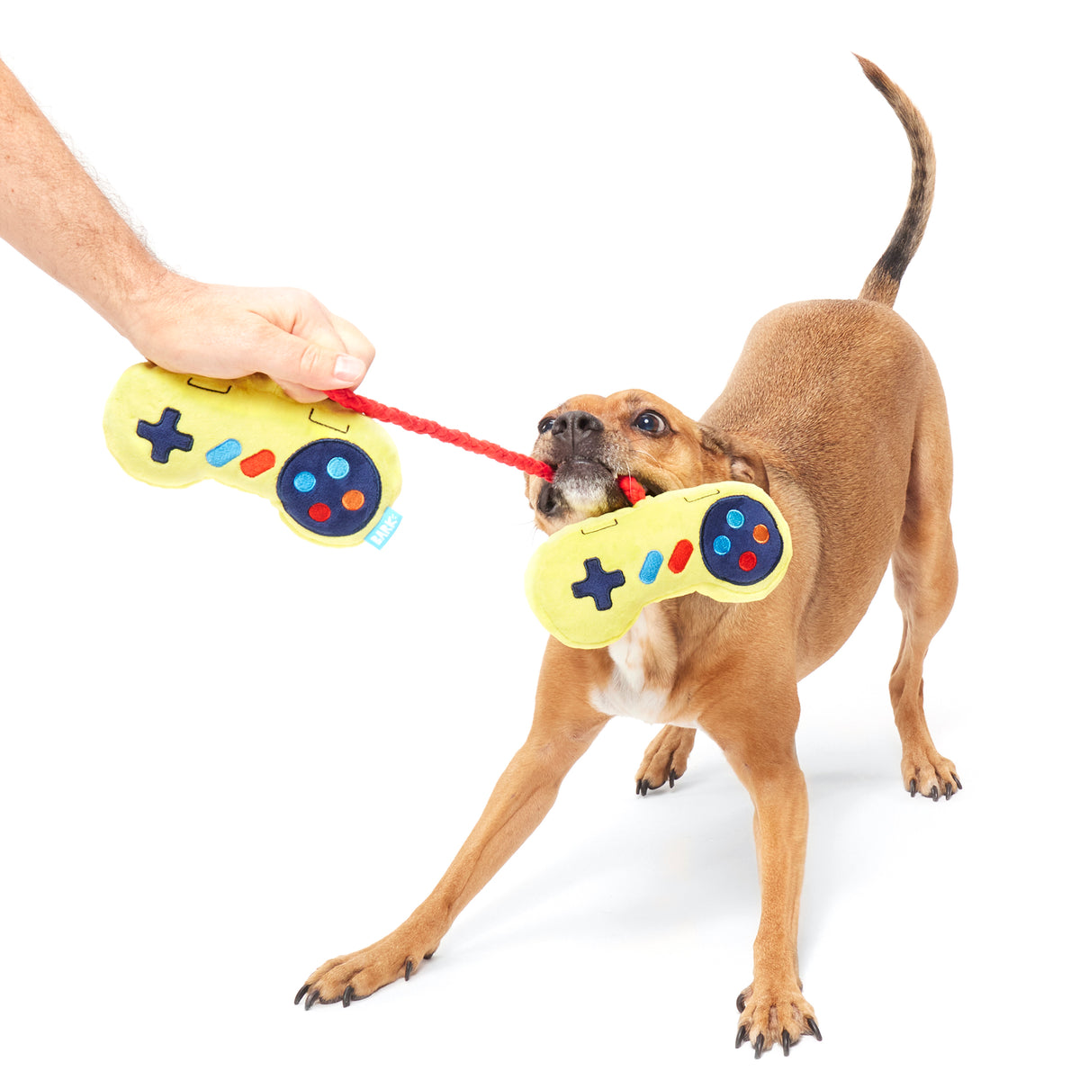 BARK Ate-Bit Tug Plush Dog Toy S/M