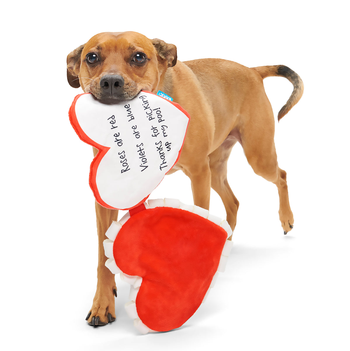 BARK Be Mine Growlentine Dog Toy