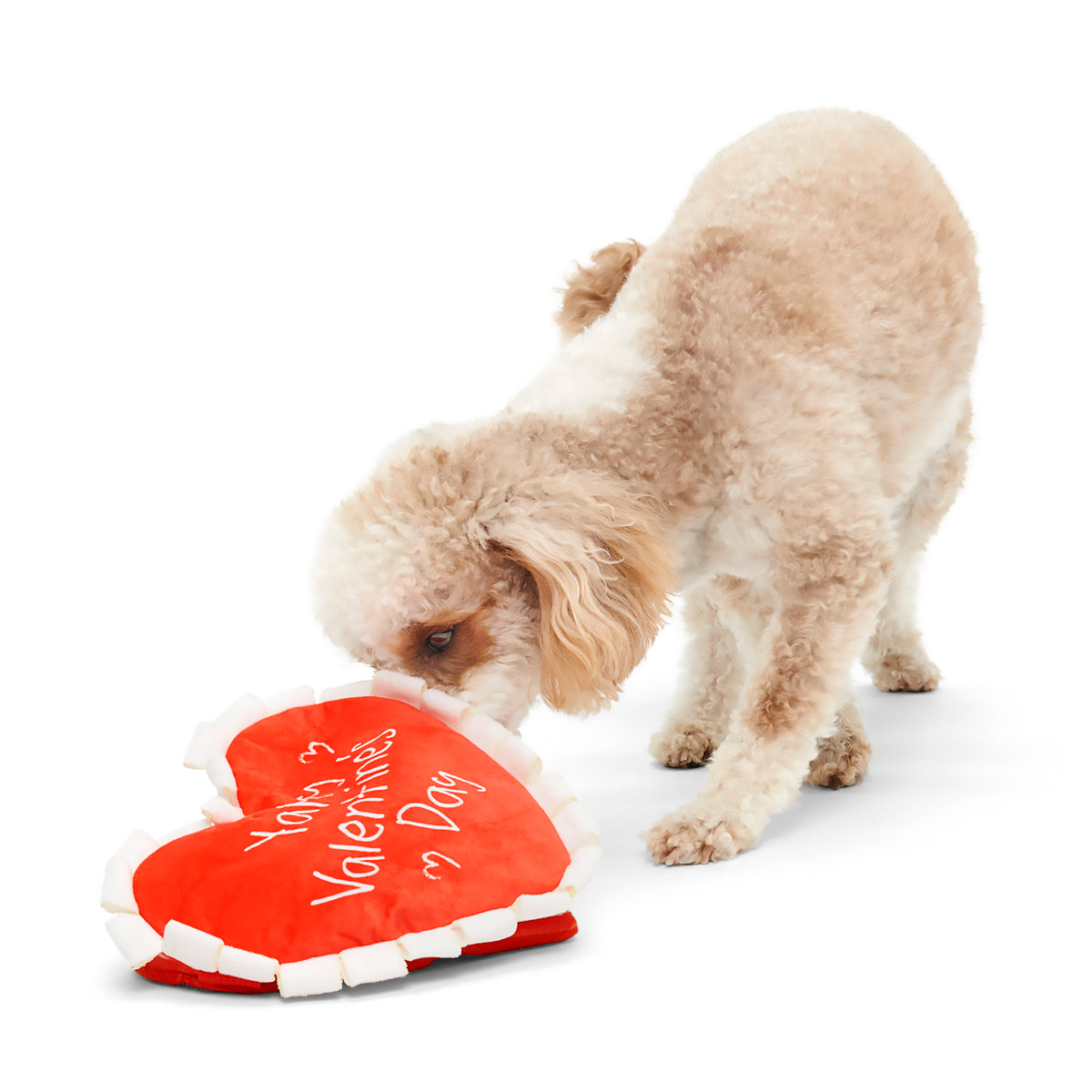 BARK Be Mine Growlentine Dog Toy