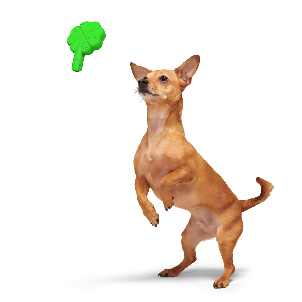 BARK Fur Leaf Clover Dog Toy