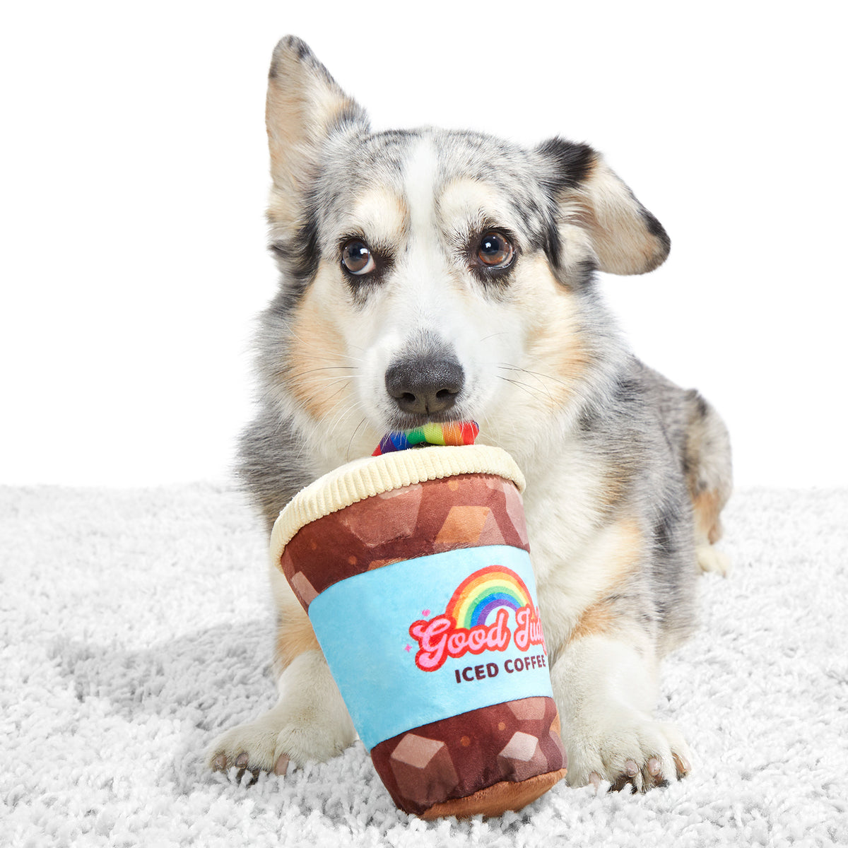 BARK Good Judy Coffee Plush Dog Toy L