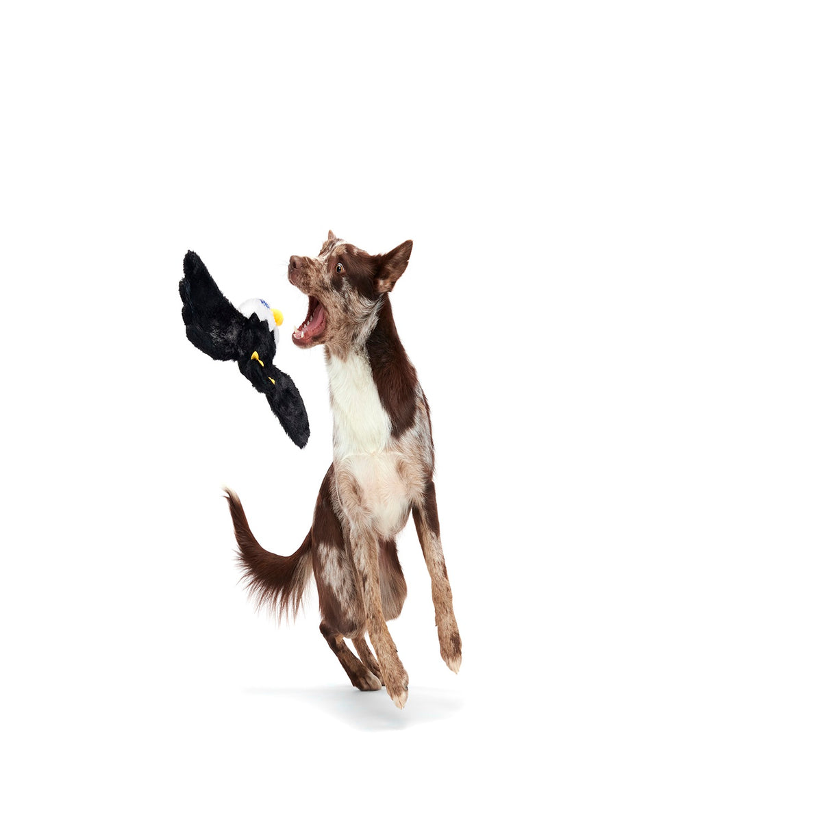 BARK Bold Eagle Plush Dog Toy XS/S/M