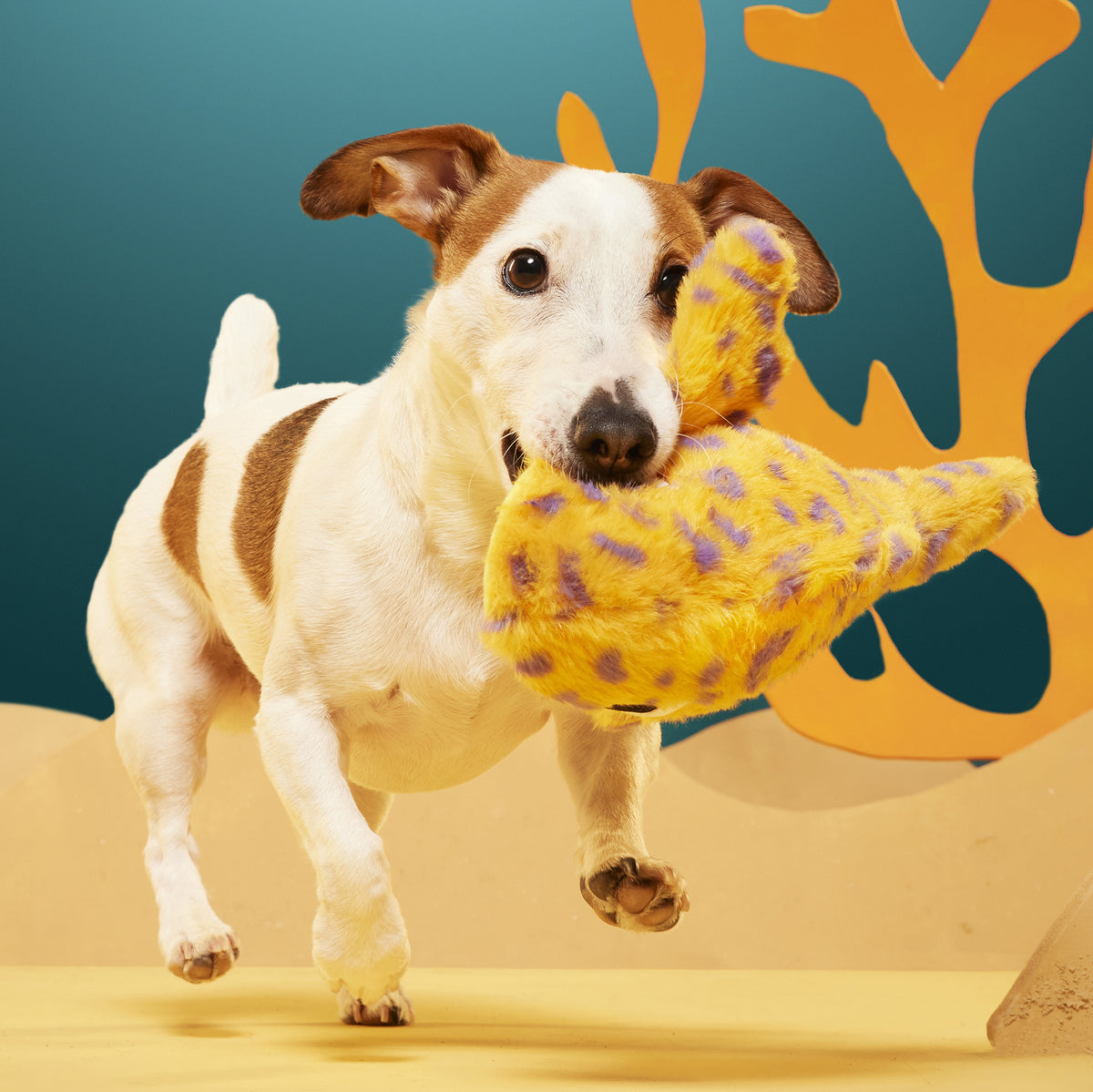 BARK Leopold Leopard Shark Plush Dog Toy