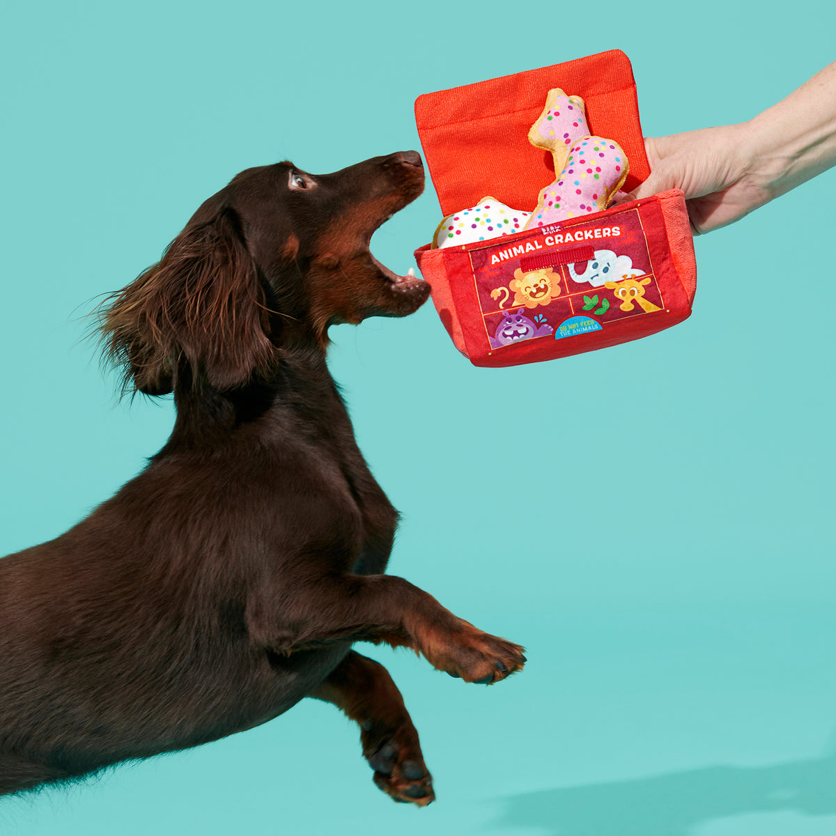 BARK Animal Squeakers Snacks Plush Dog Toy XS/S