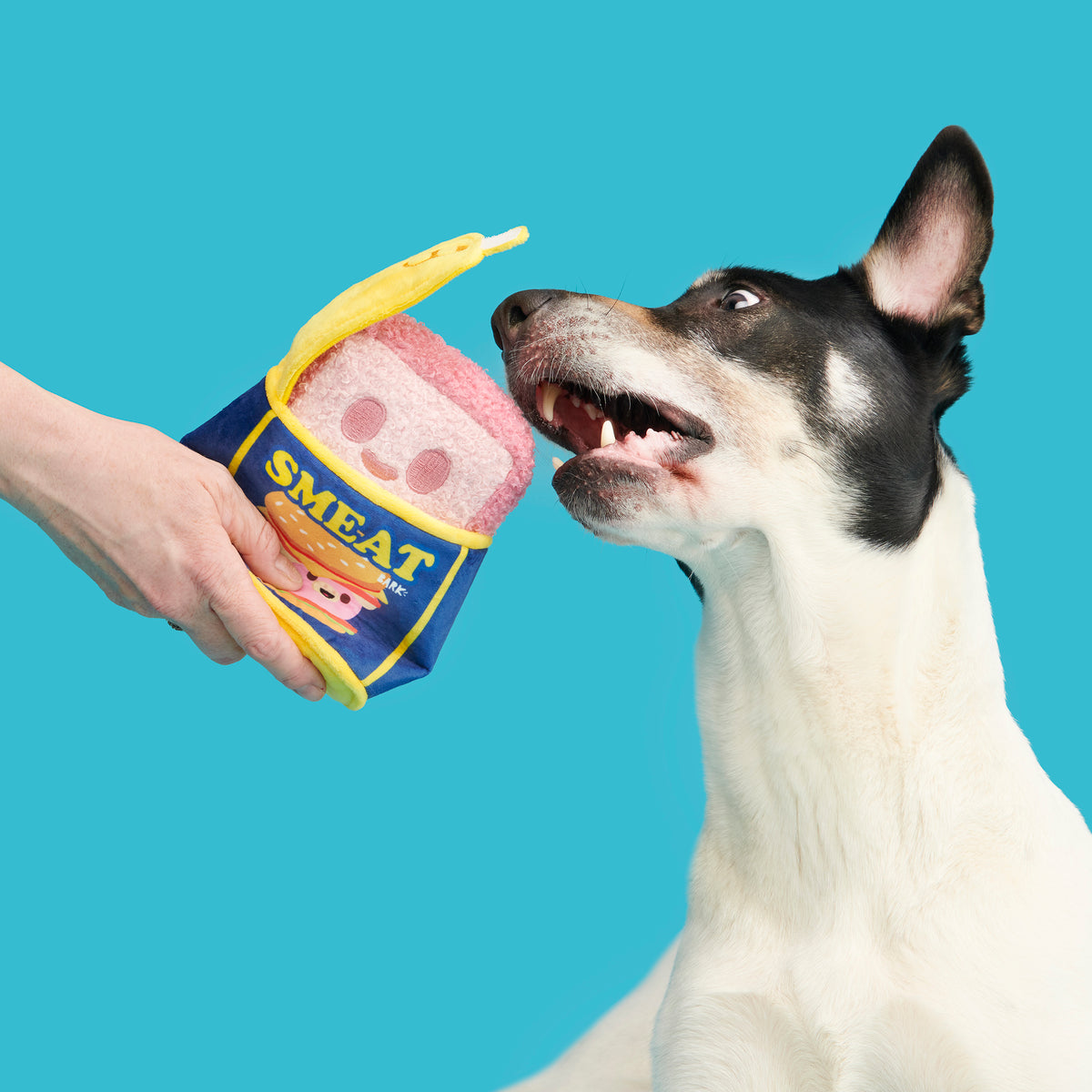 BARK Canned SMEAT Plush Dog Toy XS/S