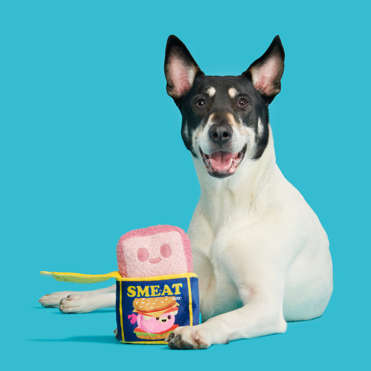 BARK Canned SMEAT Plush Dog Toy XS/S