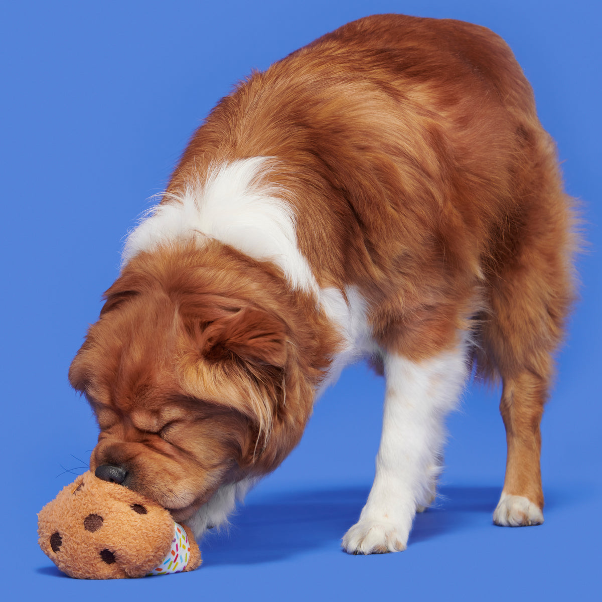 BARK Funfetchi Sniffwich Plush Dog Toy