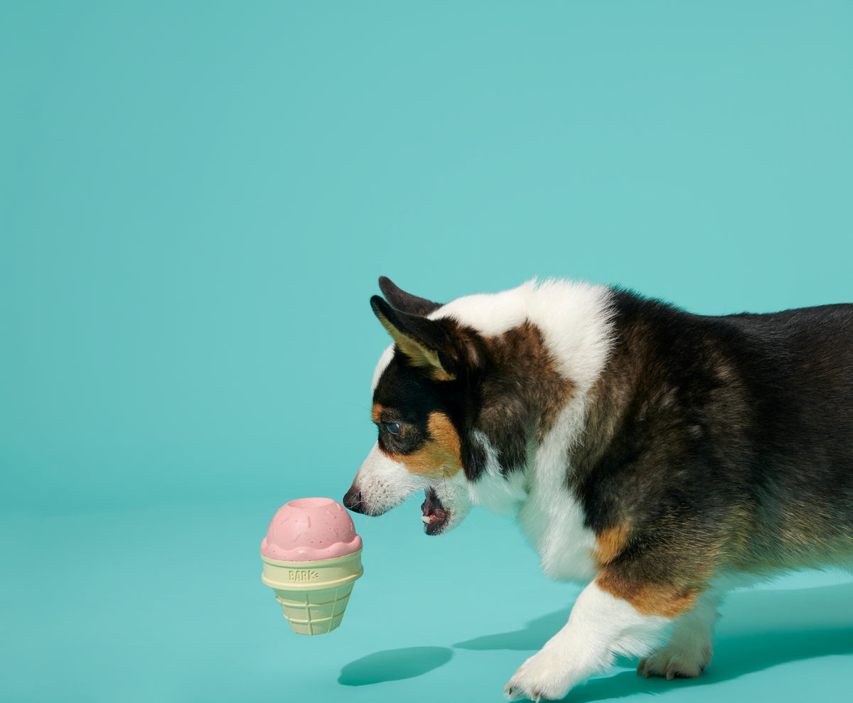 BARK Super Chewer I-Squeak Cone Dog Toy Medium-Large