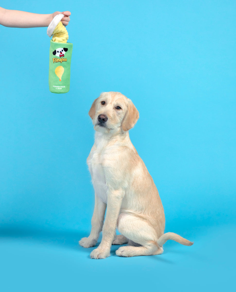 BARK Flingles Can Plush Dog Toy XS-Medium