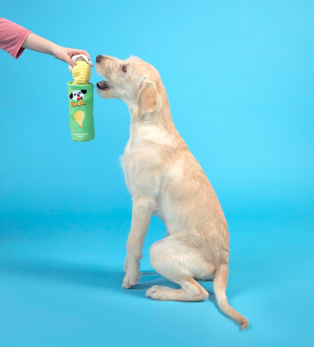 BARK Flingles Can Plush Dog Toy XS-Medium