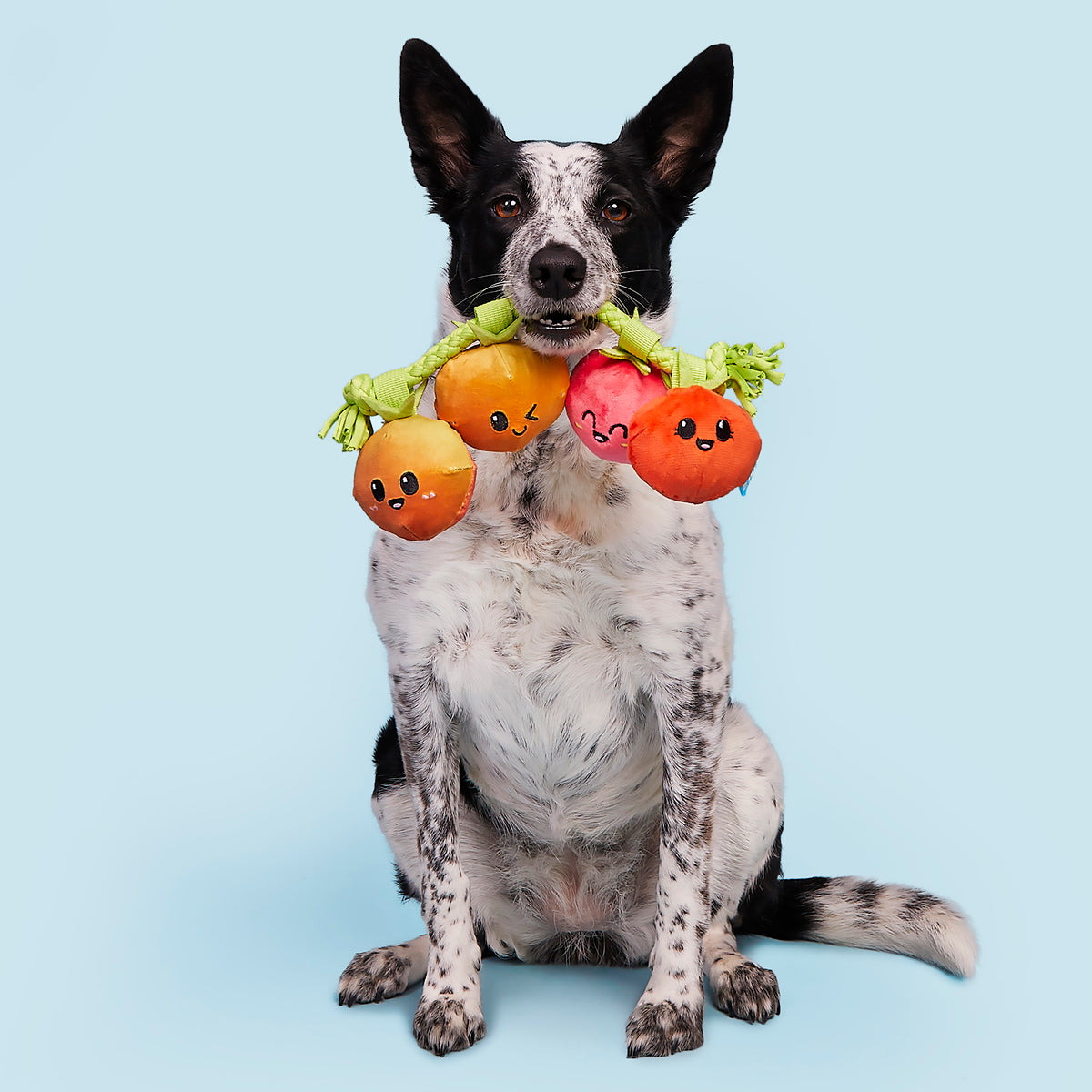 BARK Hairloom Tomatoes Plush Dog Toy S/M