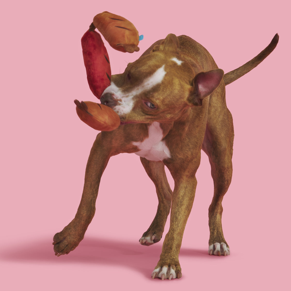 BARK Lickin' Links Plush Dog Toy