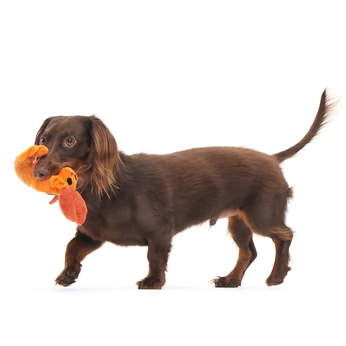 BARK Della Crawfish Plush Dog Toy XS/S