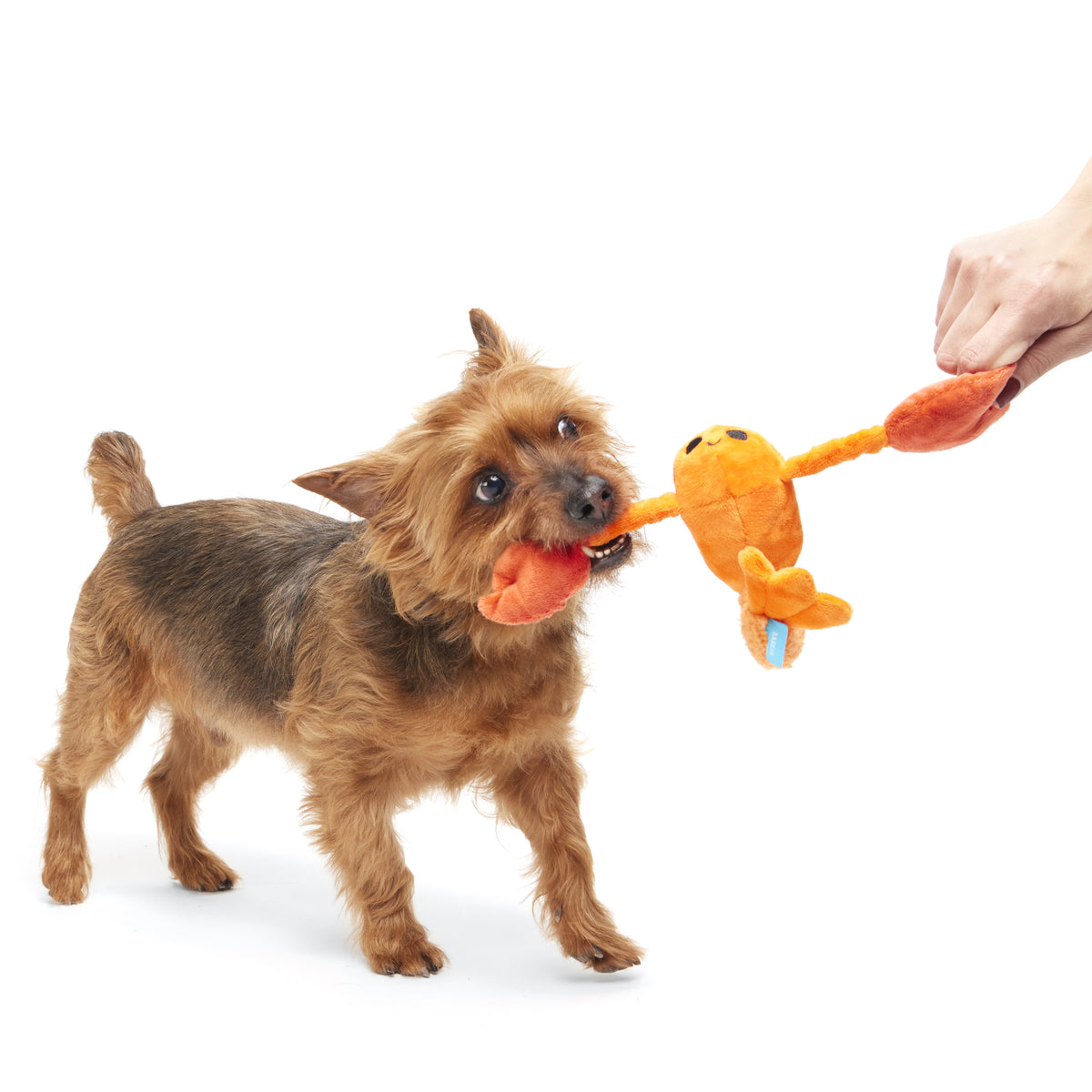 BARK Della Crawfish Plush Dog Toy XS/S