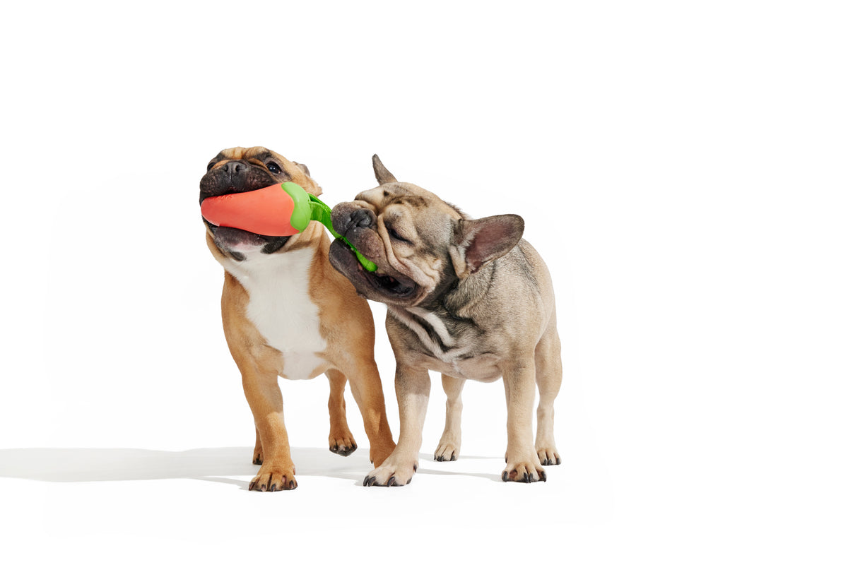 BARK Super Chewer Habanero Pupper Dog Chew Toy M/L