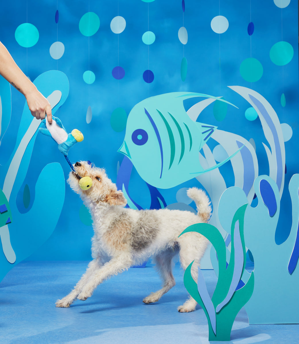 BARK Hammerin' Hank the Shark