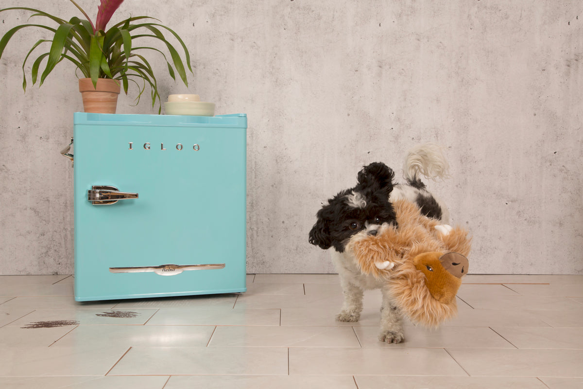 BARK Gordon the Giant Sloth